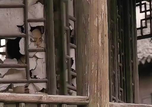 大狗和三狗违背了人性道德，庞青云决定就地正法