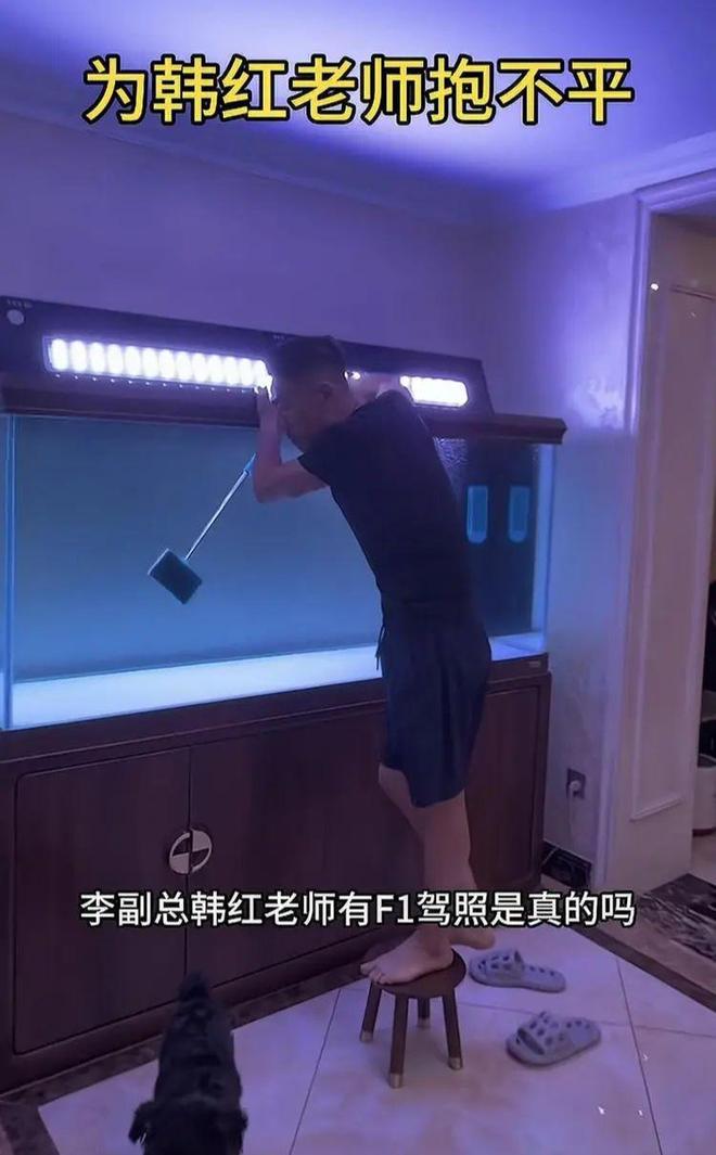 博主：韩红有F1驾照可能是网友听错了，她那体型根本塞不进车里