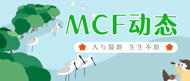 2026保护红树林生态系统国际日 | 红树林基金会(MCF)启动惠州大亚湾红树林监测及湿地教育项目 2026保护红树林生态系统国际日 | 红树林基金会(MCF)启动惠州大亚湾红树林监测及湿地教育项目