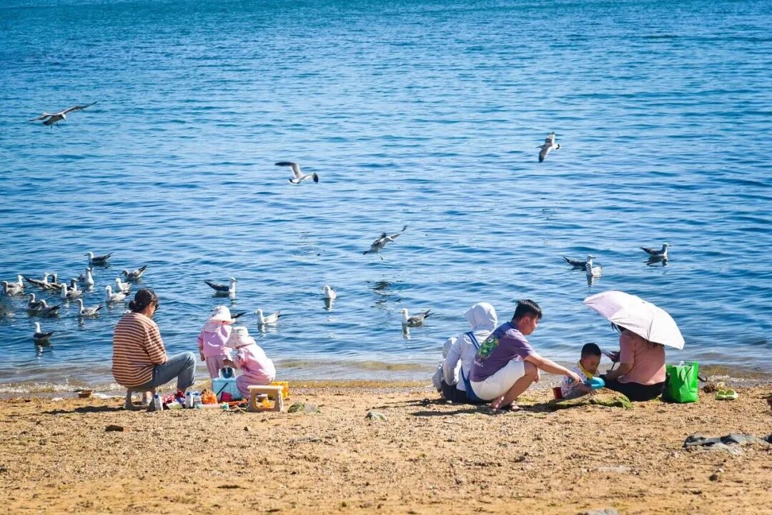 山海夏凉 || 吹海风、踏海浪、洗海澡,辽宁海滨避暑正当时 山海夏凉 || 吹海风、踏海浪、洗海澡,辽宁海滨避暑正当时