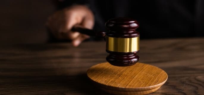 狗撞车车坏了怎样处理 狗撞车车坏了怎样处理