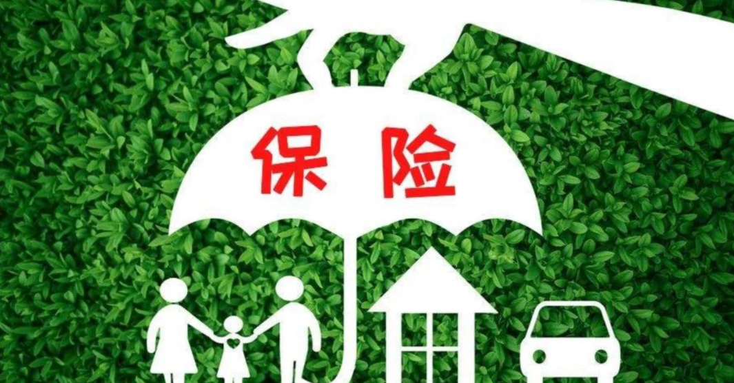 科学买保险指南:从需求到落地的实操方案(2026 年版)