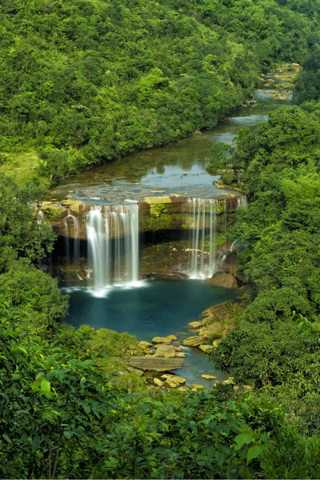 【7卧包栋2399!】莫干山鸟青山别墅,山野大泳池! 【7卧包栋2399!】莫干山鸟青山别墅,山野大泳池!