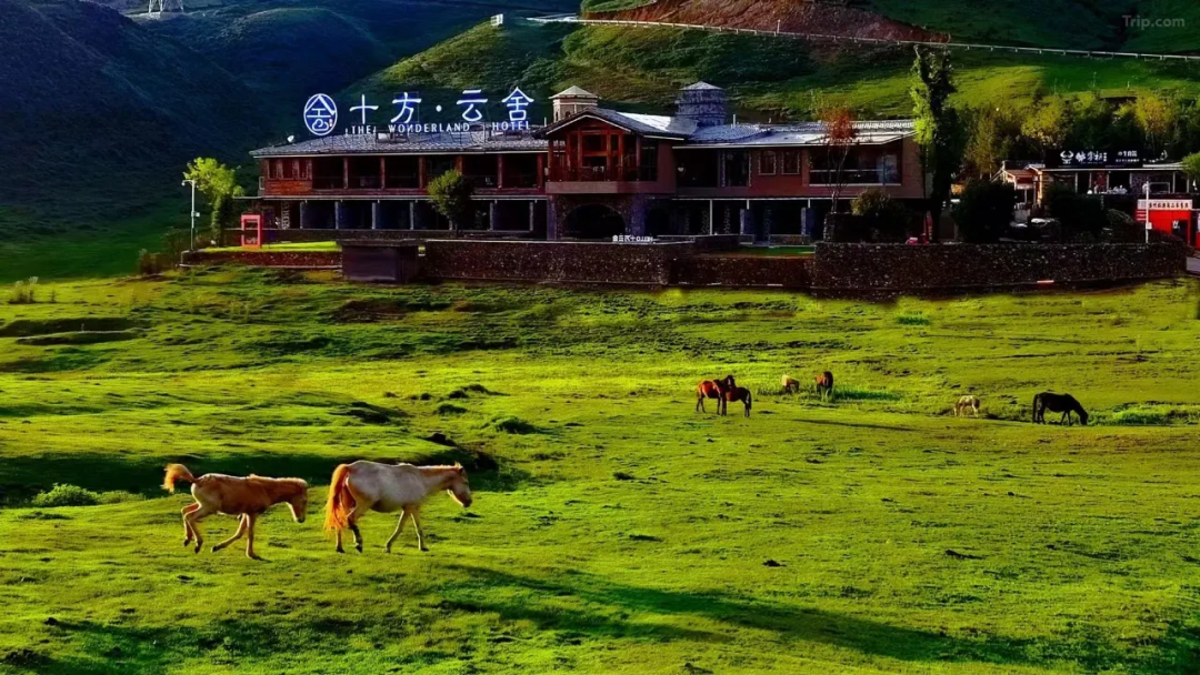 六盘水避暑民宿 TOP10栖身乌蒙清凉秘境,静享夏日悠然旅居