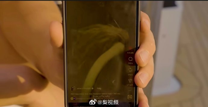 哈兰德大葱事件的相关新闻报道