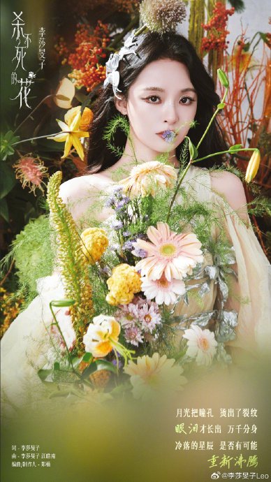 李莎旻子与制作人郑楠合作了多少首歌曲？
