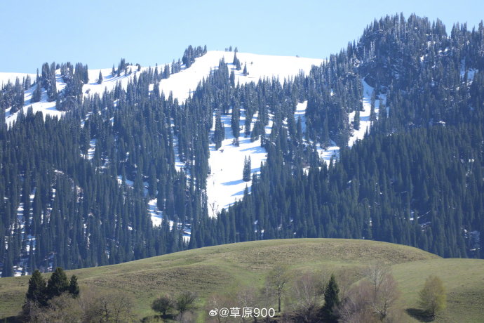 那拉提草原的游玩攻略 那拉提草原的游玩攻略