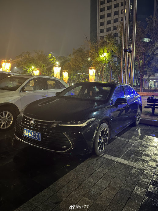 2.0L版亚洲龙动力够日常用吗？