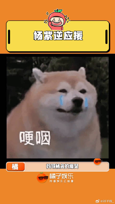 有种独立于亲情爱情友情之外的爱，叫偶像和粉丝的双向奔赴！杨紫