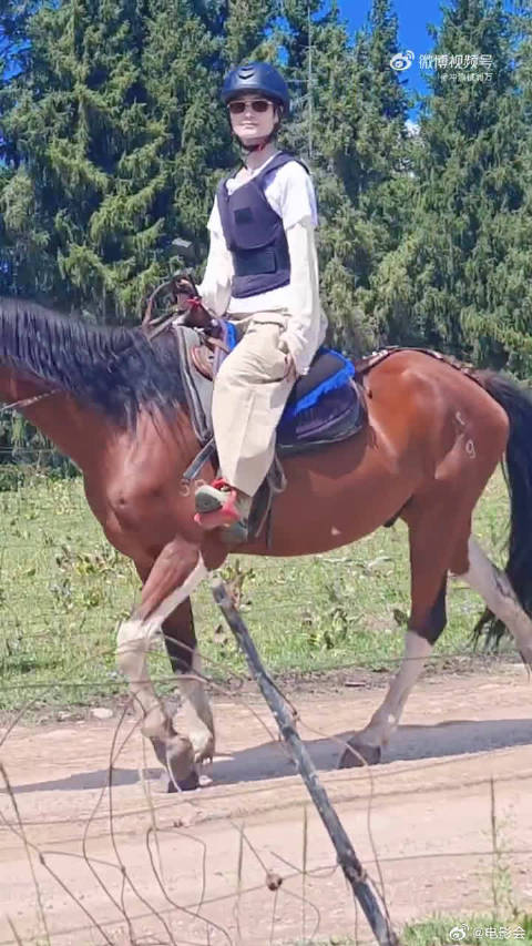 时代造就的偶像，粉丝长久的陪伴，这一刻全部都有了具象模样，向野的我们