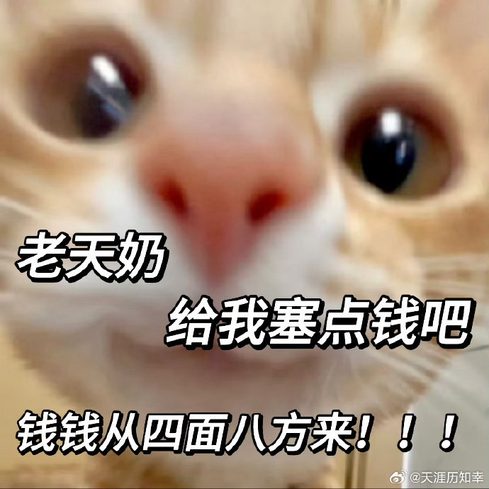 爱马仕Birkin二手价格:不同皮质和尺寸 爱马仕Birkin二手价格:不同皮质和尺寸