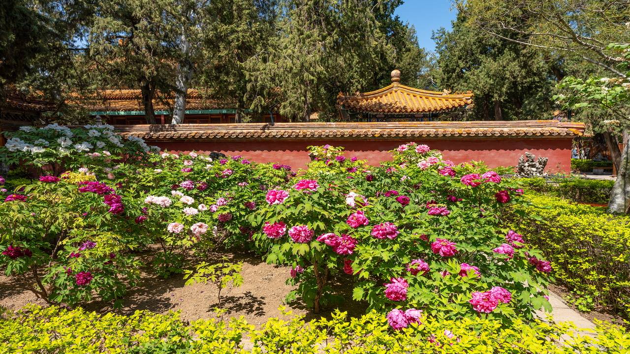 5天4晚厦门私家团,春节带上全家,过一个不折腾的五星级福建年! 5天4晚厦门私家团,春节带上全家,过一个不折腾的五星级福建年!