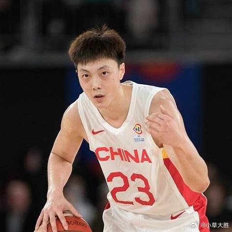 高诗岩是因为什么原因被选入国家队的？