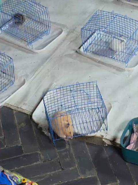 都想越狱