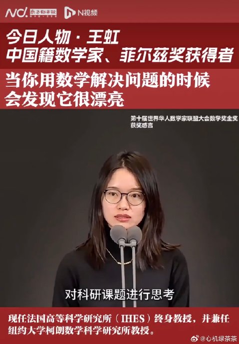 王虹16岁作文《数学之美》中引用了哪些大师观点？