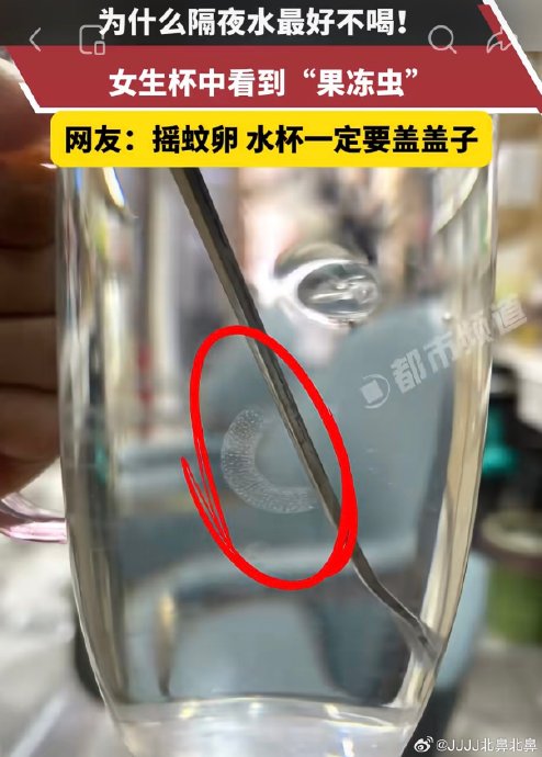 如何避免未开封桶装水内出现虫子？