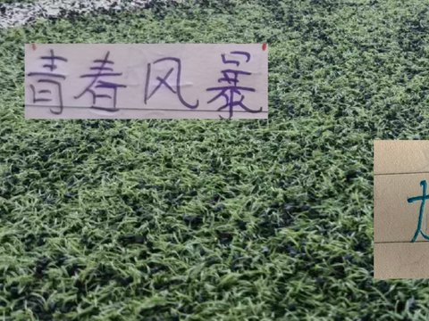海港的李新翔！云南玉昆的布尼亚明 也是在第20轮兑现年轻人天赋
