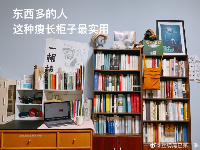 这种两用架最适合哪些户型或空间使用？