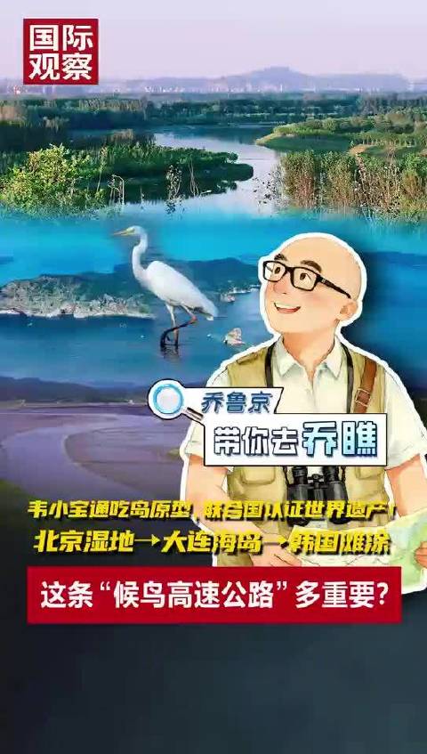 韦小宝通吃岛原型，联合国认证世界遗产！北京湿地→大连海岛→韩国滩涂……这条“候鸟高速公路”多重要？