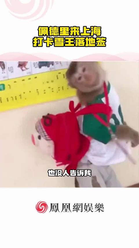 也没人告诉我，现在的雪王已经权威到这个地步了啊！