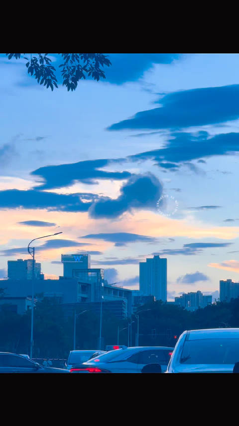 你不知道的厦门影视人才图鉴