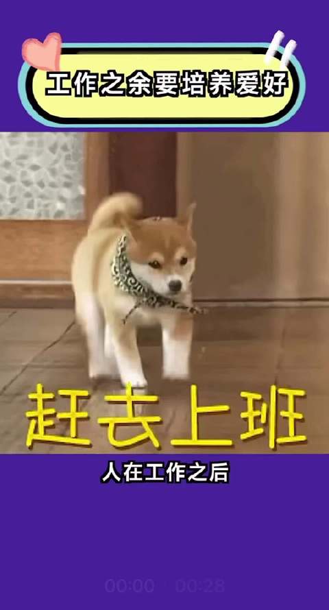 让生活挤进工作，找回平衡感