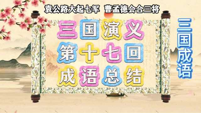 梳理了《三国演义》第十七回的9个成语典故