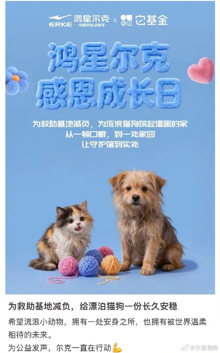 官媒力挺鸿星尔克！流浪动物救助何以成为城市治理范本？