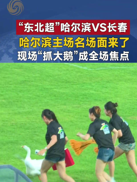 7月25日东北超哈尔滨主场开踢，现场上演抓大鹅
