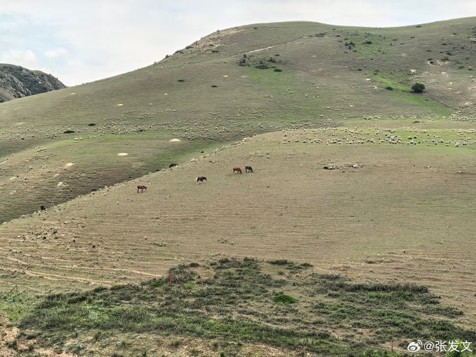 喀拉峻草原的最佳旅游时间是什么时候？