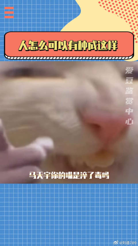 当年让马天宇离开文坛我是万万不同意的张翰 怼人 微博VC计划