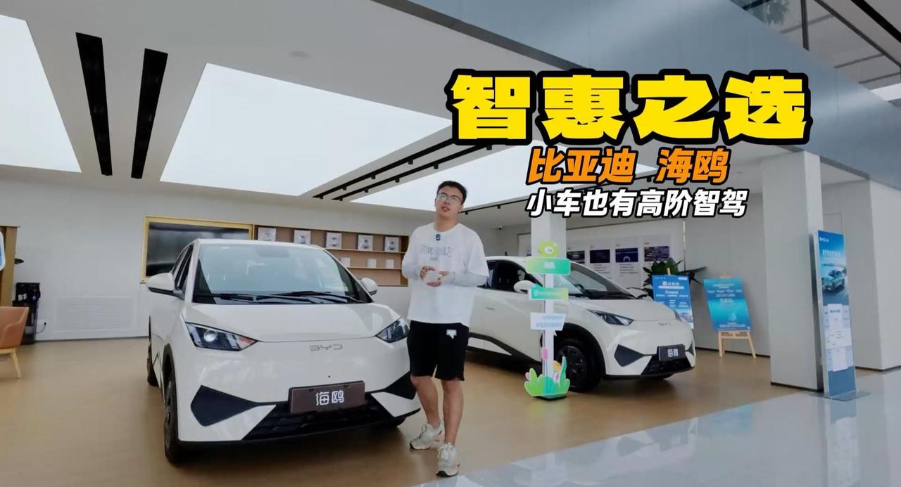 小车也能高智能 比亚迪海鸥 选天神之眼B也给你全力兜底