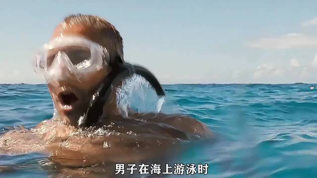 男子在海上游泳时掉了一块劳力士手表，返回海底捞的时候发现了神秘宝藏