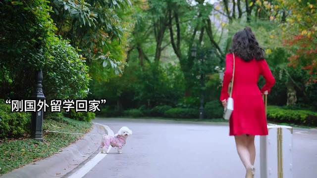 折腾半天一场空，原来小丑是我自己