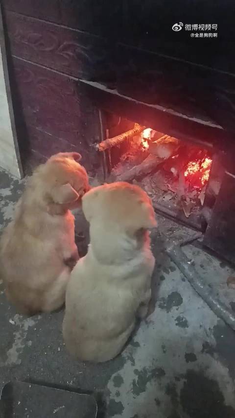 奥萨蒂请问阿斯顿大是大非水电费 飒飒的奥萨蒂奥萨蒂奥萨蒂奥萨蒂