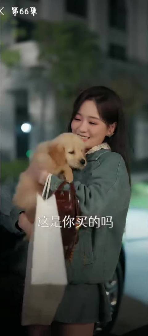 带奶奶兜风后再次带爷爷兜风的生活记录