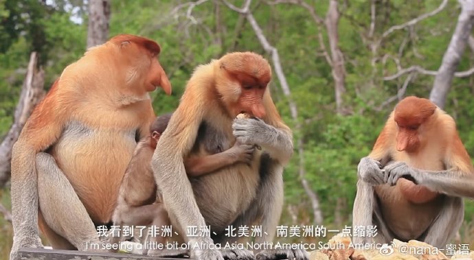孩子暑假旅游目的地