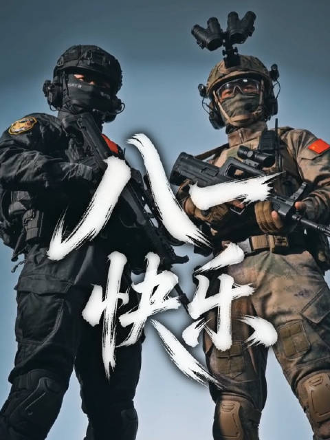 什么是中国军警的极致压迫感