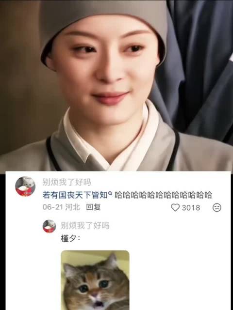 甄嬛：槿汐，这次我们干票大的，看那胖墩子发的见不？ 甄嬛传｜孙俪
