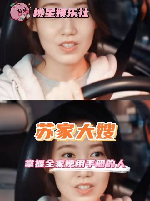苏家大嫂掌握着苏家人的使用手册 都挺好 苏明玉 苏明成