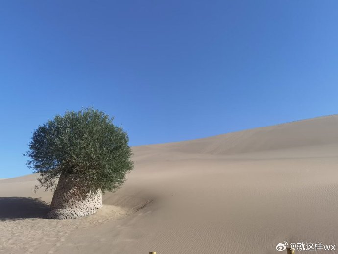鸣沙山月牙泉暑假需要预约吗 鸣沙山月牙泉暑假需要预约吗