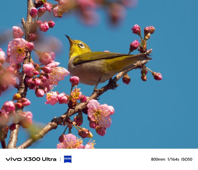 vivo X300 Ultra的长焦夜景效果怎么样? vivo X300 Ultra的长焦夜景效果怎么样?