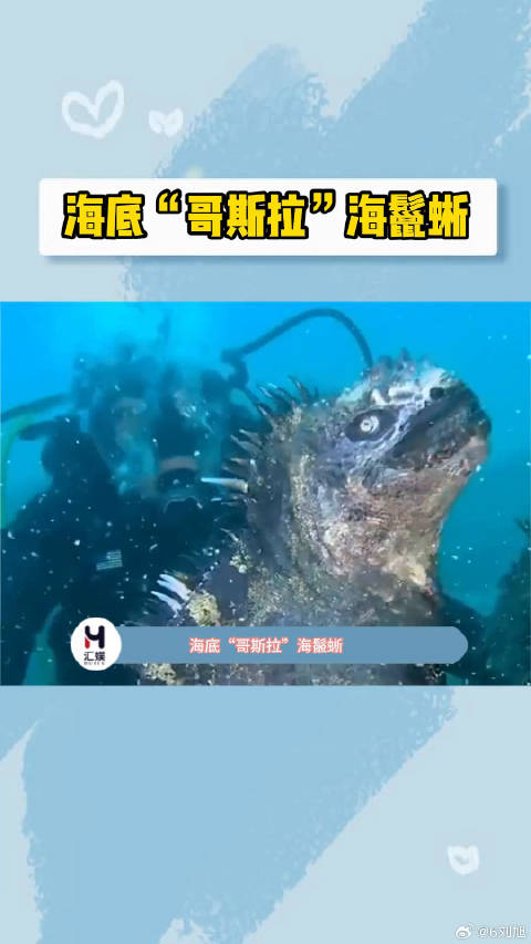 长成这个样子吃草，太容易让人误会了