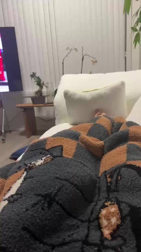 周五夜晚 红楼梦 小狗 完美呀