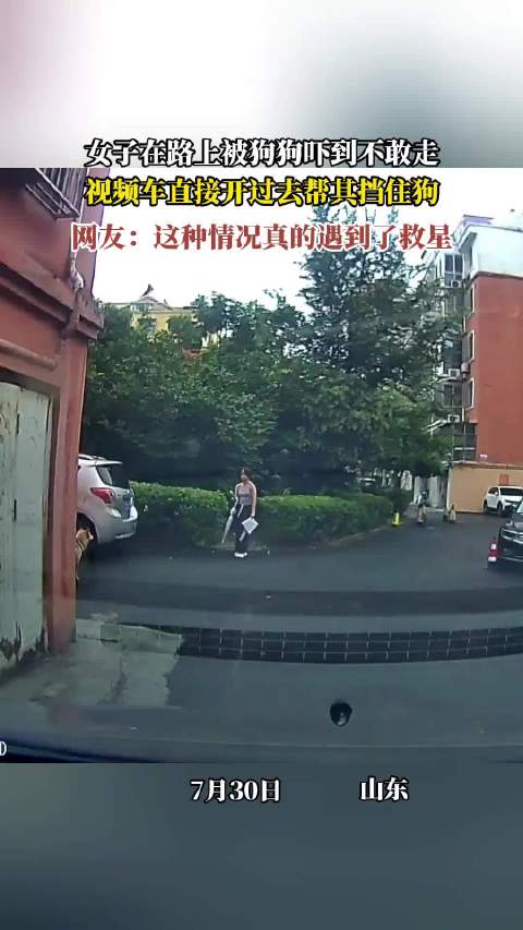 女子被狗吓到不敢走，司机开车挡狗解围