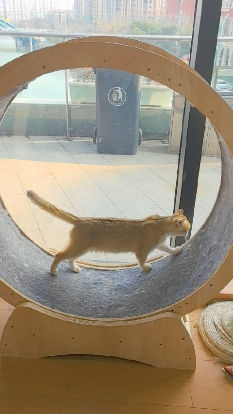 私密马赛