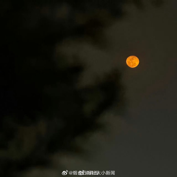 青岛出现罕见血月天象对当地观月爱好者有何影响? 青岛出现罕见血月天象对当地观月爱好者有何影响?