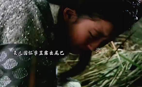 阿奴一眼就能认出灵儿，唯独李逍遥认不出…这个时候的灵儿一定很痛苦无助吧