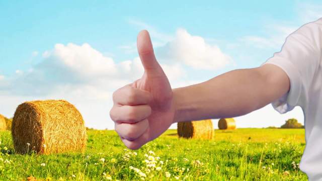 宋木子改编歌词宣传十个勤天，赵小童震惊
