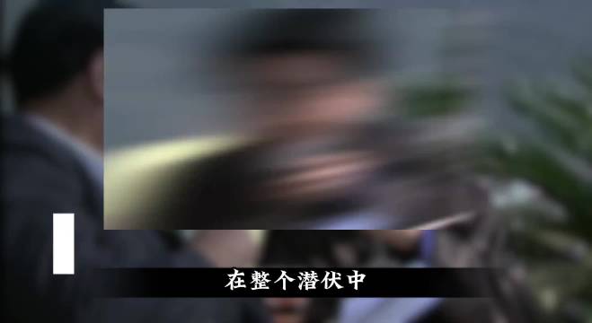 在整个潜伏中，能骗过站长的只有穆连城